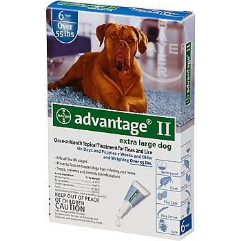 Bayer Advantage 2