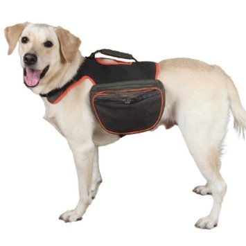 dog carry pack