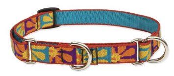 Lupine Designer Combo Dog Collar - Crazy Daisy