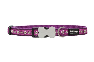 Red Dingo Designer Dog Collar Large