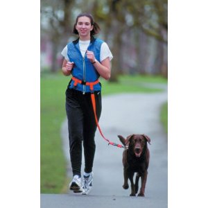 Hands Free Dog Leash Buddy System