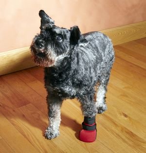 Ultra Paws Wound Boot