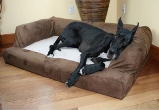 Sofa Bed Dogs  xxl Orthopedic Sofa Style Dog Beds for Large and Extra Large Dogs
